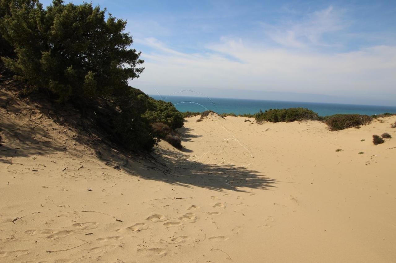 Ampio Appartamento Marina Di 阿勃丝 外观 照片